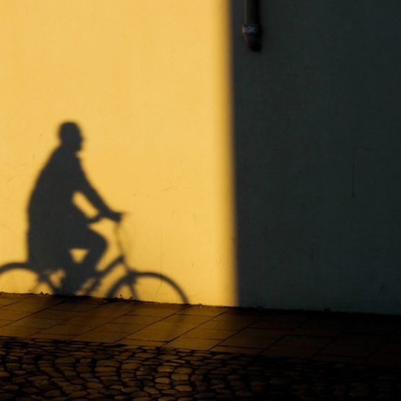 Meet your Posher, Nora - Picture 1 of 1